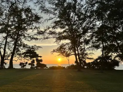 a sunset over a field with trees and the ocean at 2 Bedroom Beachfront Apartment With Sea Views in Mai Khao Beach