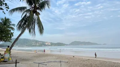 a beach with a palm tree and people on the beach at Patong Vacation Condos by Pam - 28 SQM modern condos with private bathroom, kitchen, King Bed, free WiFi and 65 inch smart TC in Patong Beach