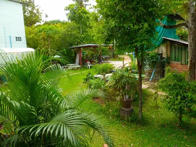 a garden with a gazebo and some plants at Bonus Bungalow in Chalong