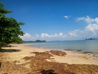 a sandy beach with trees and the ocean at Mukda in Ko Yao Noi