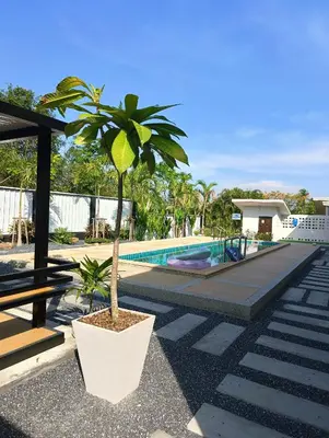 a palm tree in a pot next to a swimming pool at Hello Montri in Klong Muang Beach