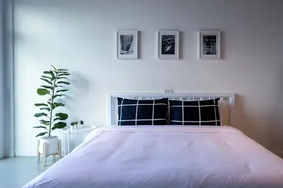 a white bedroom with a large bed and a plant at Black Turtle in Koh Lone