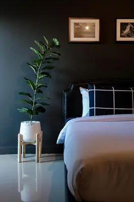 a bedroom with a bed and a potted plant at Black Turtle in Koh Lone