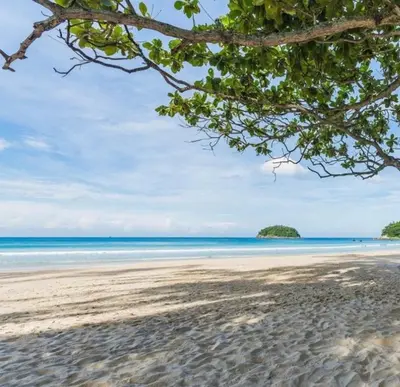 a sandy beach with a tree and the ocean at Ozone Phuket Kata Beach Resort & Wellness in Kata Beach