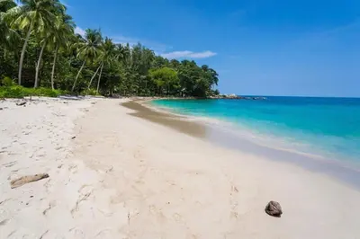 a beach with a group of palm trees and the ocean at Sea & Mountain Views Apartment at VV Patong A603 in Patong Beach