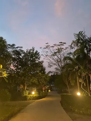 a street with trees and street lights at night at Green Tree Cottage 1 in Klong Muang Beach