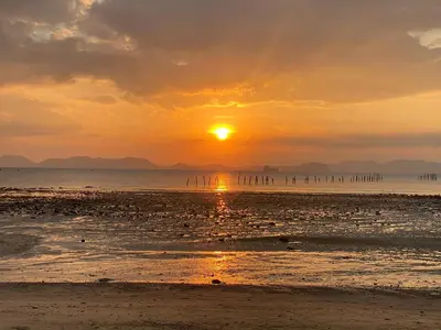 a sunset on a beach with birds in the water at Green Tree Cottage 1 in Klong Muang Beach