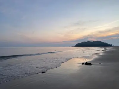 a beach at sunset with a group of animals on the sand at Green Tree Cottage 1 in Klong Muang Beach