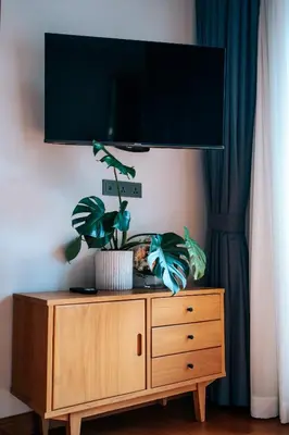 a tv on top of a wooden dresser with a plant on it at Allure Villa in Bangtao in Ban Pak Lak