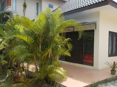 a palm tree in front of a house at Absolute calm for long sleepers and others in Kamala Beach