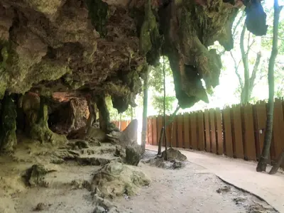 a cave with trees inside of it at Green Tree Cottage3 in Klong Muang Beach