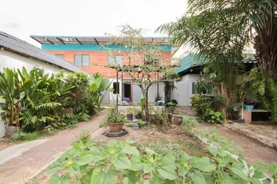 a garden with trees and plants in front of a building at OYO 1163 Eden Hostel in Phuket Town