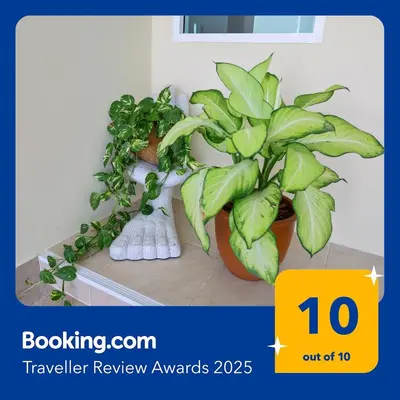 a couple of plants sitting on a shelf at Spacious Family Garden Villa - Huge Pool & Gym Access in Thalang