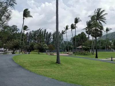 a park with palm trees and benches and a path at 7 Floor - Studio Room at TBHR near Kata beach in Kata Beach