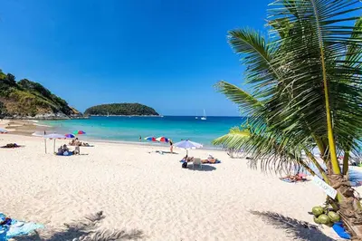 a beach with a palm tree and people on it at Tropical Brand New 4BR Pool Villa Mina, just 5 min Drive from Naiharn in Rawai Beach