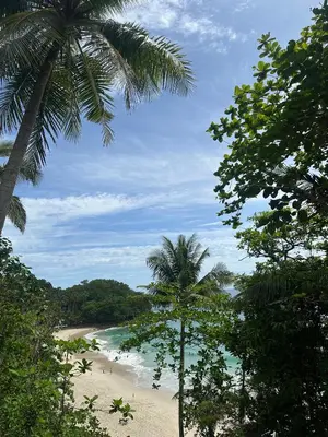a view of a beach with two palm trees at The Viva Patong A1 in Patong Beach