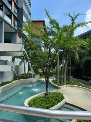a small tree in a pool in a building at Mida Grande Resort Surin by Mill in Surin Beach