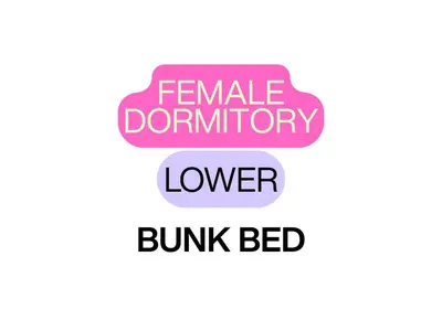 a pink speech bubble with the words female donation lower bump bed at Phuket Inn Patong Hub in Patong Beach