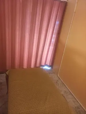 Gallery image of Kinnaree Hostel Krathu Phuket in Ban Ket Ho