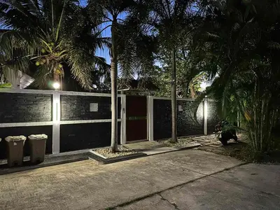 a cat sitting next to a fence with palm trees at Villa Happy home in Rawai Beach