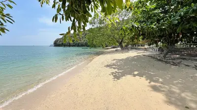 a sandy beach with trees and the water at At the Beach New comfortable Pool Home, Ao Yon Beach, Phuket in Ban Ao Makham