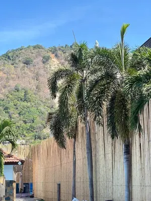 a group of palm trees in front of a fence at YUSU Hotel \u7fbd\u5bbf\u9152\u5e97 in Phuket Town