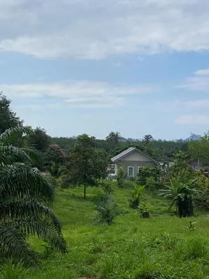 a house in the middle of a grassy field at Green Tree Cottage5 in Klong Muang Beach