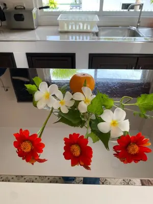a vase with red and white flowers on a counter at Green Tree Cottage5 in Klong Muang Beach