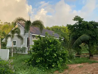a white house with trees in front of it at Green Tree Cottage5 in Klong Muang Beach