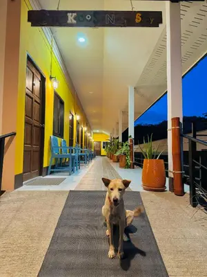 a dog sitting on a rug in a hallway at Cuckoo's Nest Ao Nang in Ban Khlong Son