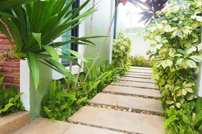 a garden with plants and a walkway at Jinda Resort in Nai Yang Beach
