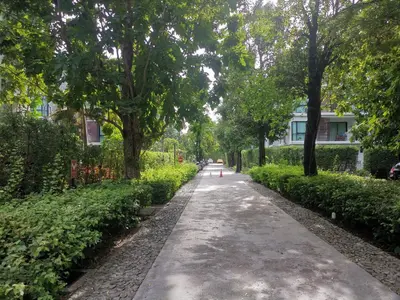 a path in a park with trees and a building at Rawai Beachfront - Studio room on 2 floor in Rawai Beach