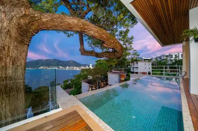 a swimming pool on the roof of a house with a tree at Patong WiN HOUSE Villa in Patong Beach