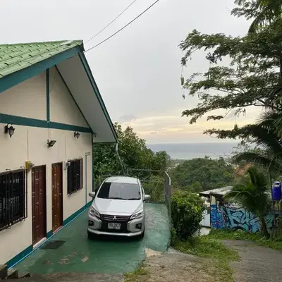 Green House 2
