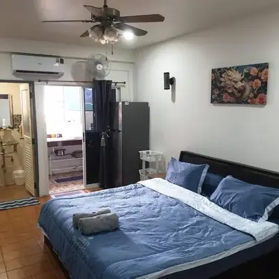 Monkey Apartment