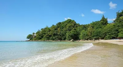 a beach with trees and the ocean on a clear day at Near beach hostel in Bang Tao Beach