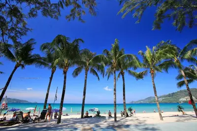 a group of palm trees on a beach at Global Hotel Beach View in Patong Beach