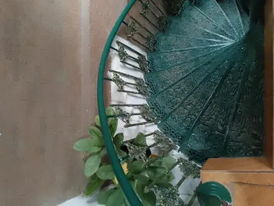 a green hose next to a green umbrella next to a plant at Lucky Guest house in Karon Beach