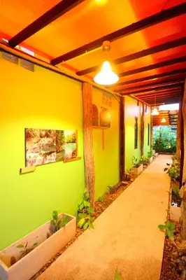 a room with green walls and a hallway with plants at Bida Daree Resort in Ao Nang Beach