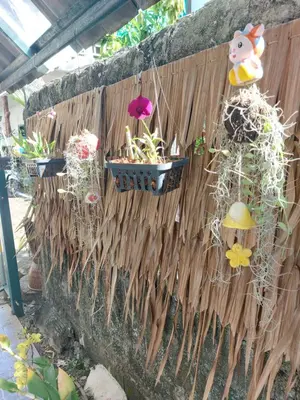 a wall with plants in baskets on a fence at Smile house in Karon Beach