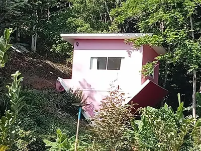 a pink house in the middle of a forest at Mountain View Resort in Nai Yang Beach