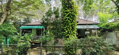 a house covered in ivy in a garden at Bassara House 2 bedroom in Koh Lone