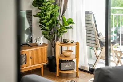 a living room with a potted plant and a tv at Title Halo Memories Naiyang Pool Gym Sauna in Nai Yang Beach
