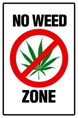 a no weed zone sign on a white background at Mood Resotel Kamala in Kamala Beach