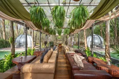 a conservatory with couches and tables and plants at Timber Society Boutique Hideaway in Phuket Town