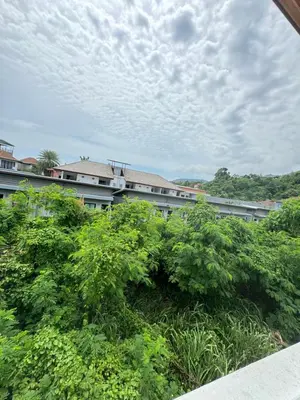 a bunch of bushes in front of a building at Kamala Evergreen Home in Kamala Beach