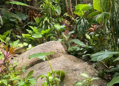 a large rock in the middle of a garden at BOUTIQUE-VILLA with Suites & Rooms in Karon Beach