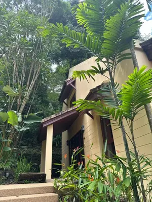 a house with a palm tree in front of it at Patong Beach\u68ee\u6797\u5c4b111 in Patong Beach
