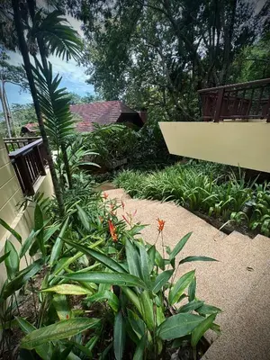 a garden with green plants and a walk way at Patong Beach\u68ee\u6797\u5c4b111 in Patong Beach