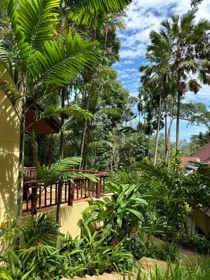 a garden with trees and a wooden walkway at Patong Beach\u68ee\u6797\u5c4b111 in Patong Beach